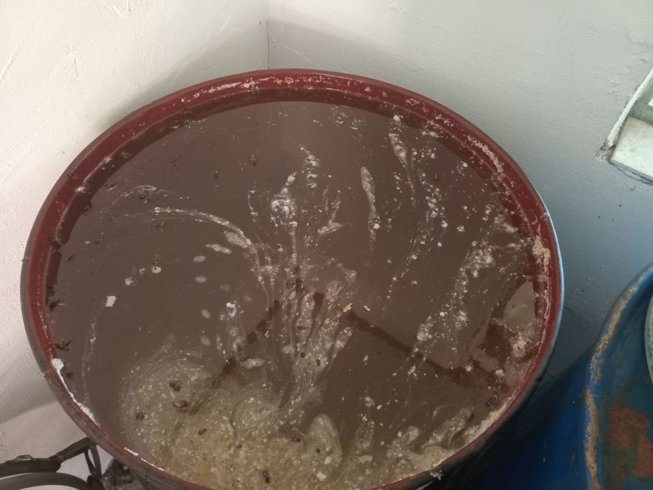 Vand miere salacam si rapita