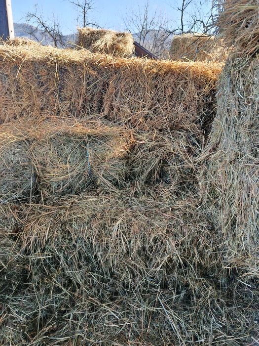 Baloti de otavă de vînzare