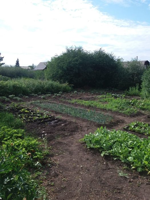 Продам дачный участок