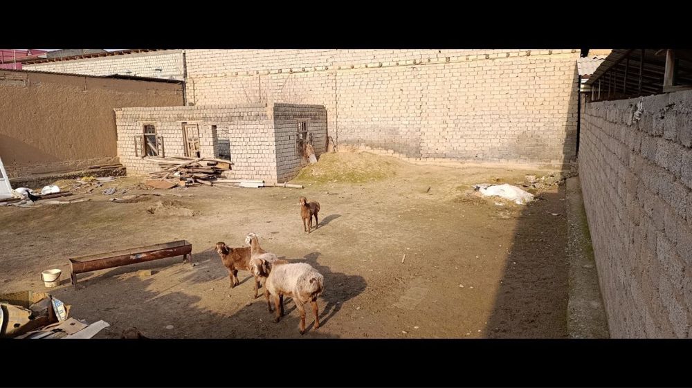 Юнус Абат 19. Земля 20-30