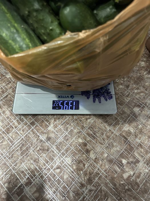 Продам продам продам