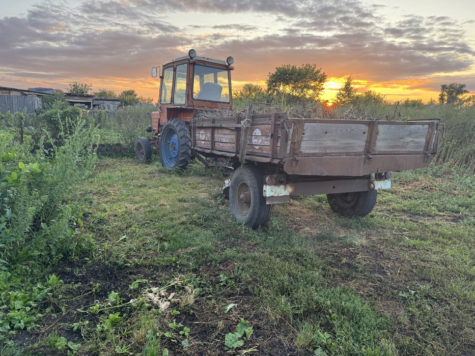 Трактор Т-25 с прицепом