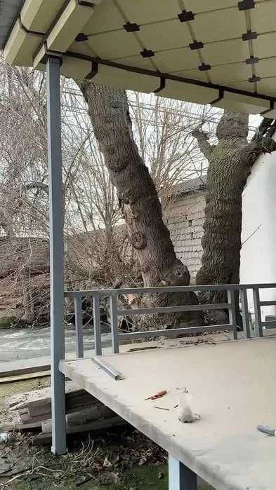 Сдаётся складское помещение, Сергелийский район (indeks)