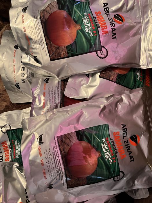 Семена лука самара