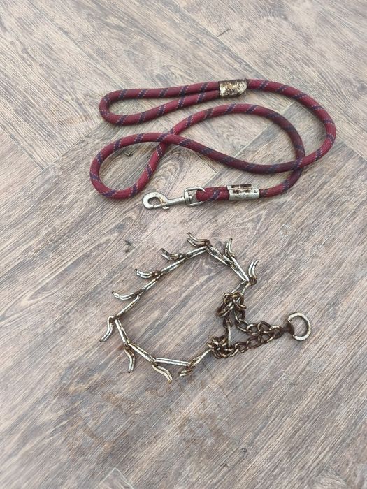 Vând colțar și lesa pt câini talie mare