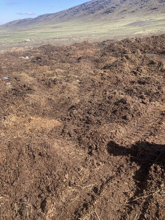Черназем перегной,свежий