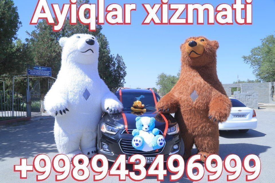 Ayiqlar xizmati barcha viloyat boylab