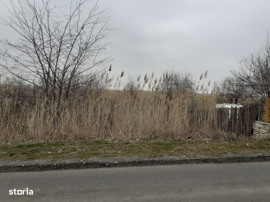 Vand /schimb/inchiriez teren extravilan cu deschidere la balta,Parches