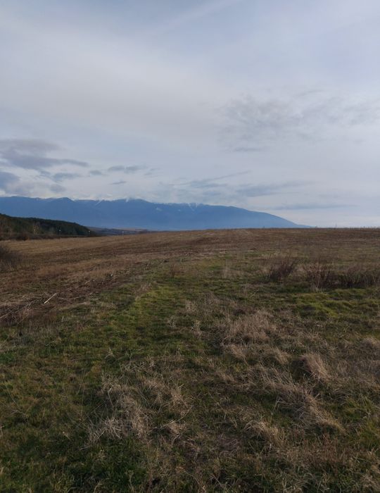 Продава парцел в с.Дяково