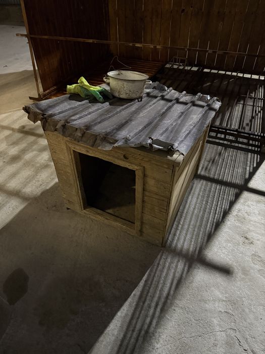 Бутка для собак 5000 тг состояние