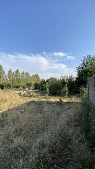 Dacha bog'i bilan