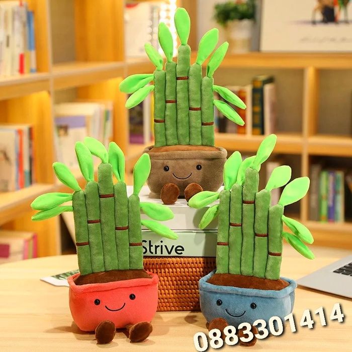 Плюшен бамбук в саксия Bamboo