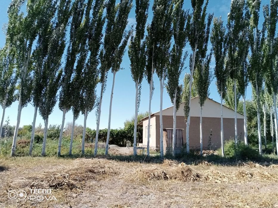 Жай сатылады, кегейлиский район