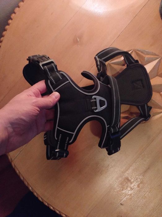 Ham catei, harness dog, lesa - zgarda