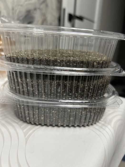 Продам чиа и кунжут