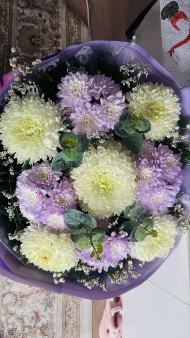 Хризантемы огромный свежий букет