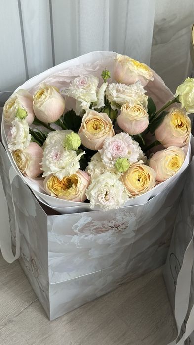 Свежий гул жана келген