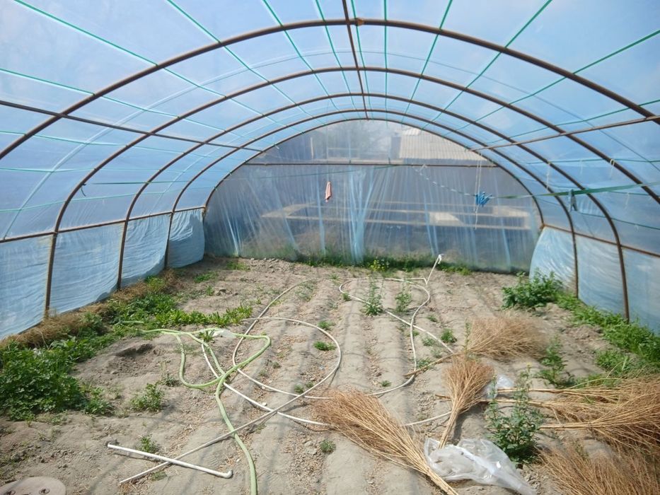 Parnik yangiday 7×9