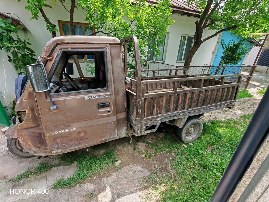 Муравей хитой Дамас матори билан