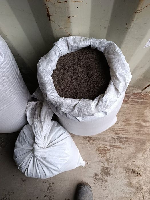 Продам семена клевера