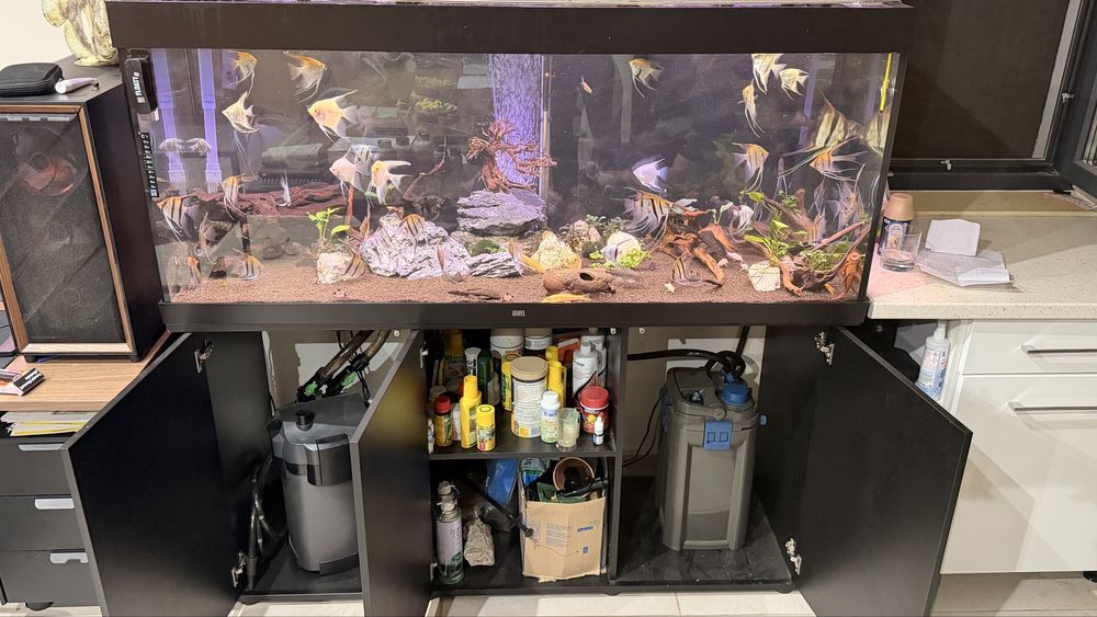 Vând acvariu Juwel 450 litri, complet echipat și funcțional.