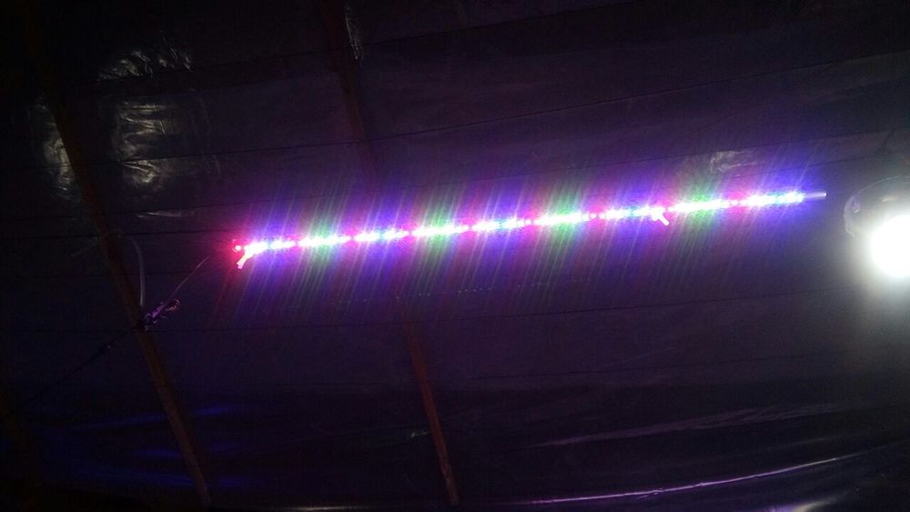 Всё для аквариума и пруда