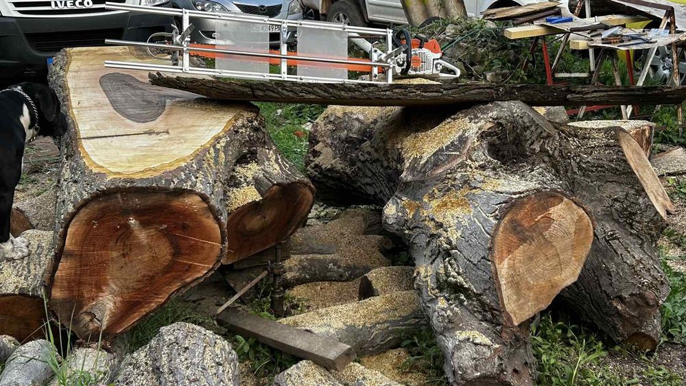 Разбичване/Бичене на трупи на място