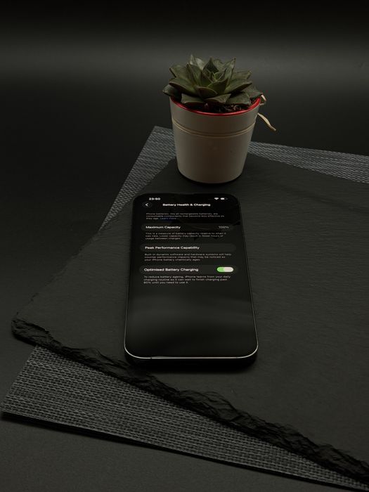 iPhone 13 Pro Max 256 Gb Graphite / 100%  Батерия/ Перфектен