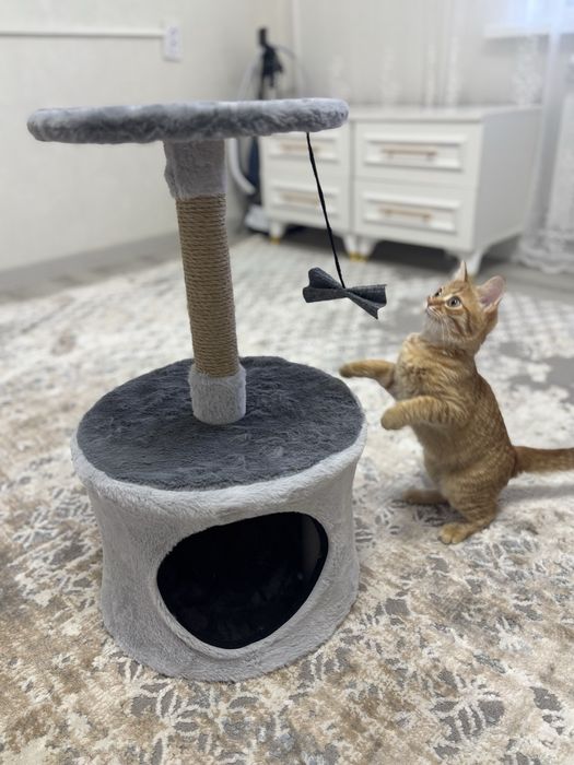 Продам домик для кошек