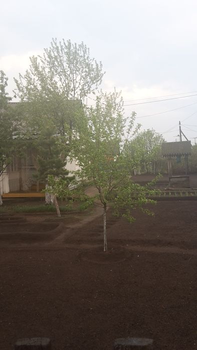 Продам пол дома ,срочно.