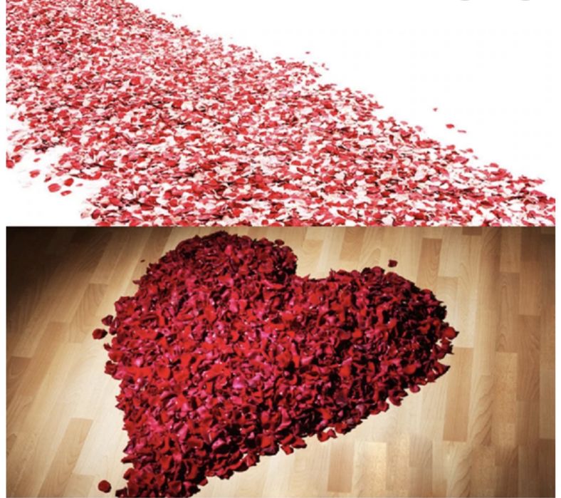 Живые лепестки роз на праздник