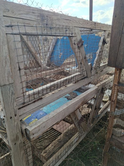 Продаи клетки для кроликов кролят