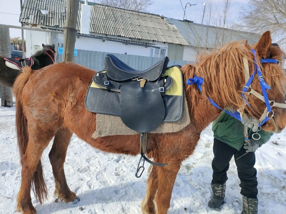 Продам новые сёдла кавалерия