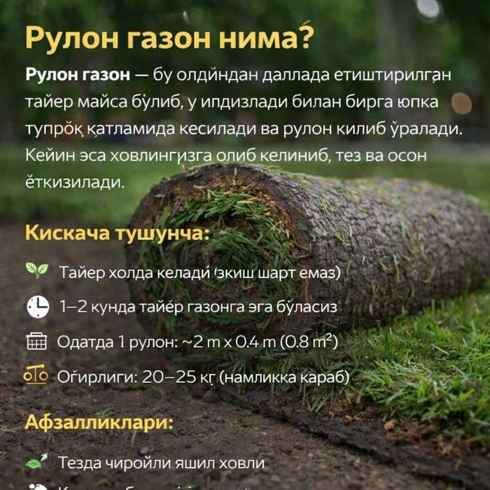 Газон, рулон газон, ландшафт