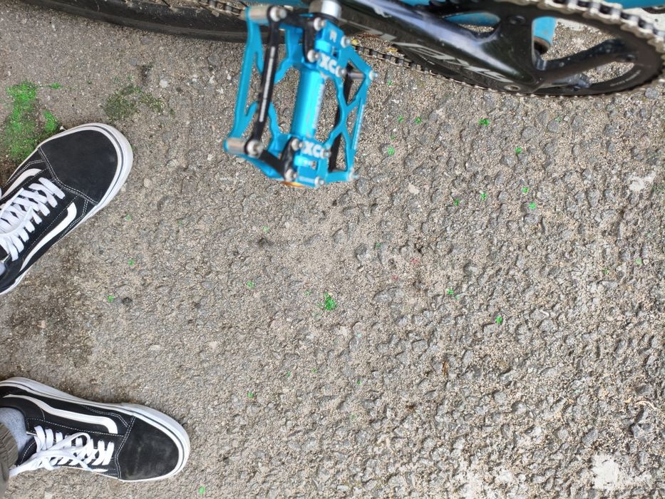 Fixed gear Reid Harrier 2.0