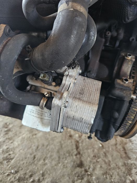 Termoflot ( Racitor ulei ) ford transit 2.2E5
