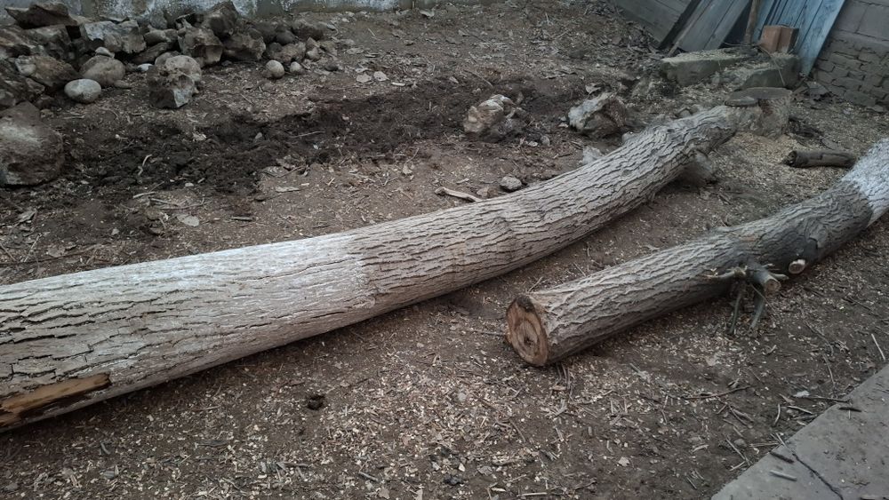 Продам два орех(столб)