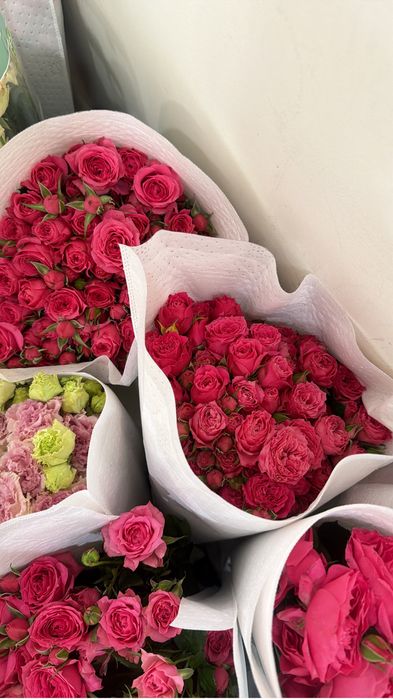 Большие бутоны сорт софия кустовые розы