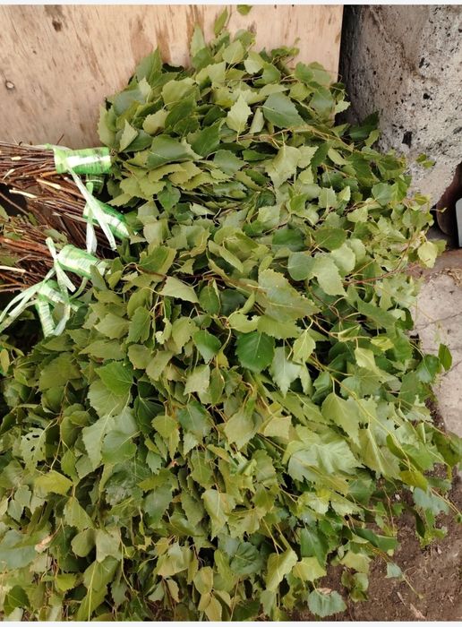 Продам веники берёзовые!