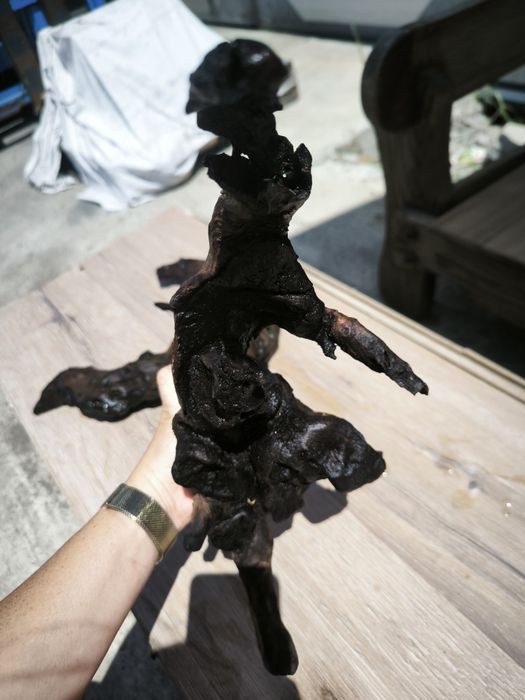 Мангрови корени за аквариум