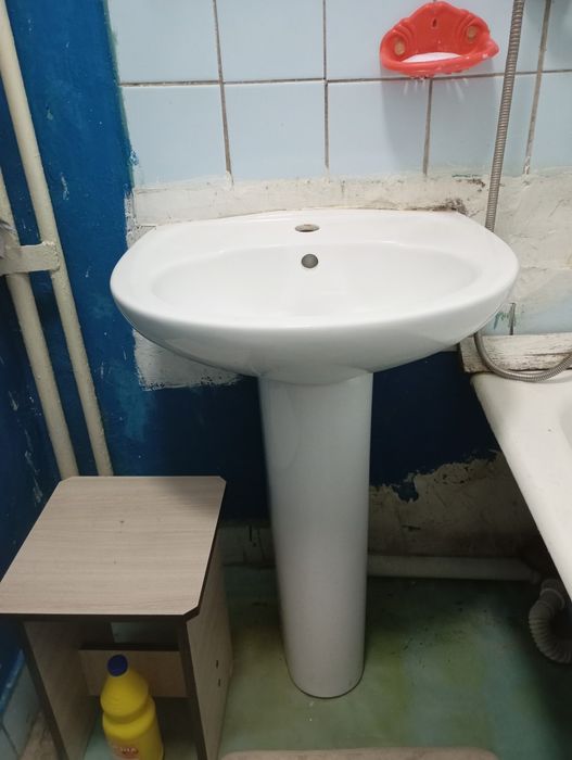 Продам тюльпан .