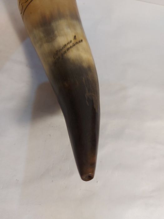 Рожок настоящий.