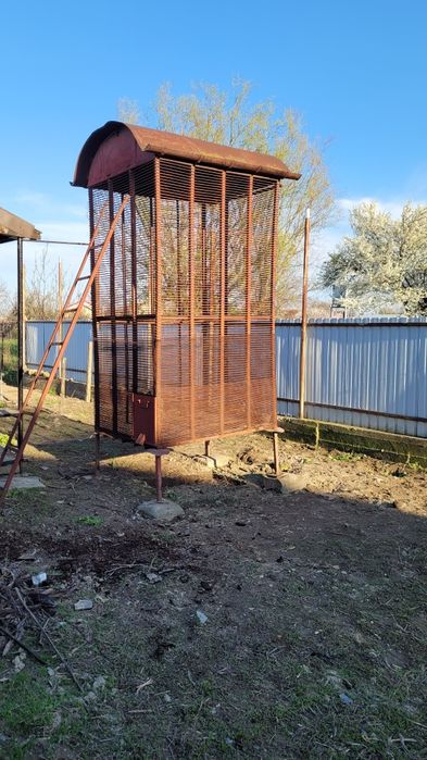 Leasa de porump știuleți