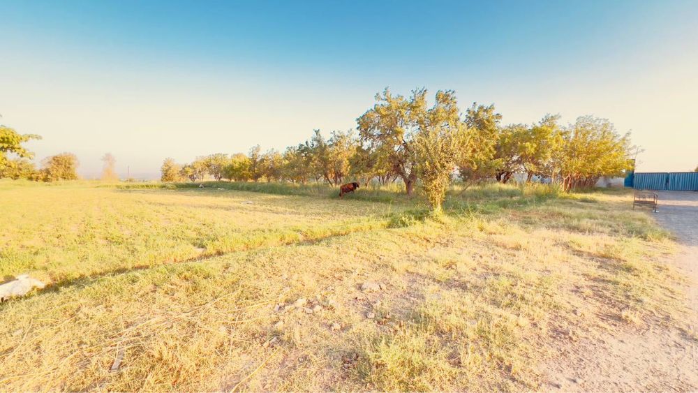 Ferma sotiladi 30 tonnalik marazelnik 10 000 ta broler boqishga joy bo