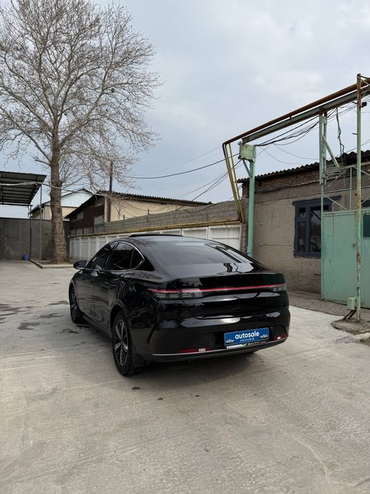 Byd Chazor 120 3 позиция