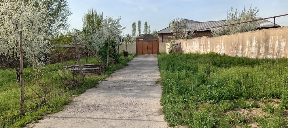 Yangiyol tuman Shoralisoy mfy poliknika orqasida uy sotiladi. 16 sotix