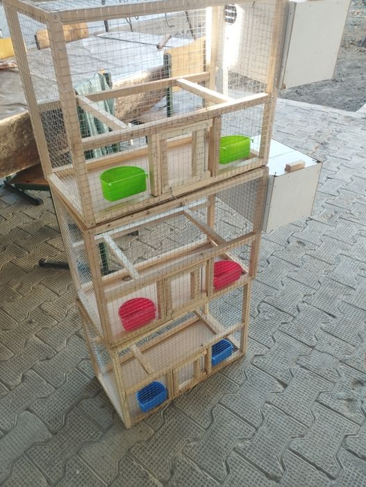Кафас клетка сотилади