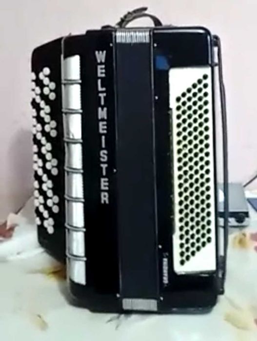 Музыкальный инструмент баян