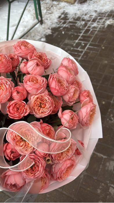 Цветы пионы свежый1