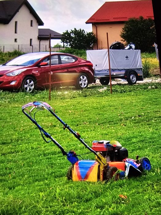 Servicii de  gradinarit intretinere spatii verzi